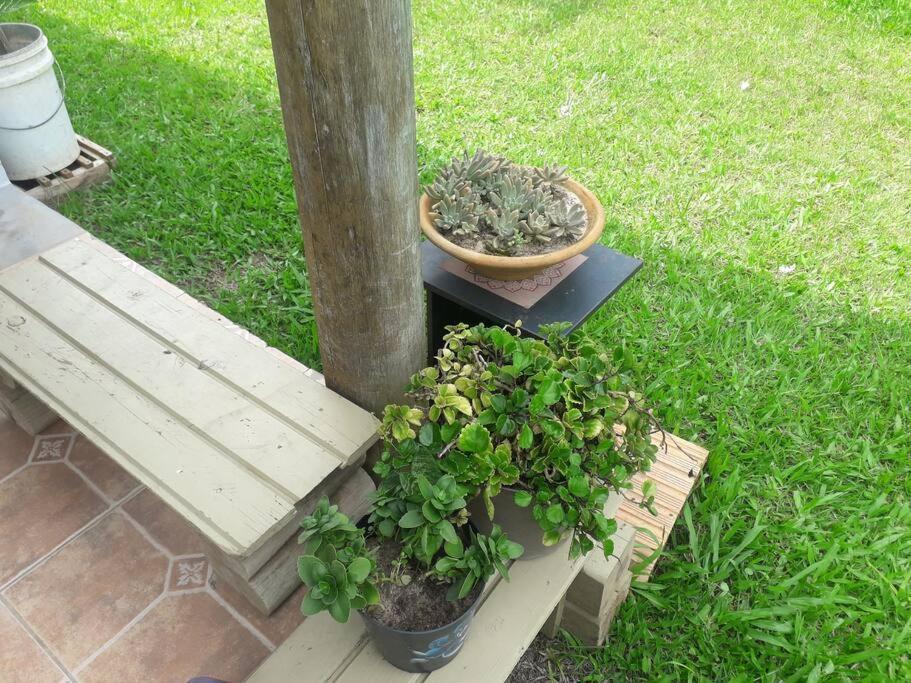 Casa Proximo A Praias, Trilhas E Cachoeiras. Garopaba Exterior foto